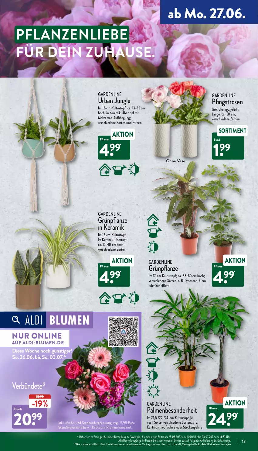 Aktueller Prospekt Aldi Nord - Aldi-Aktuell - von 27.06 bis 02.07.2022 - strona 13 - produkty: aldi, blume, blumen, Blüte, Brei, eis, elle, erde, Ficus, hero, kulturtopf, LG, Pachira, Pfingstrosen, pflanze, pflanzen, reis, rosen, Ti, topf, übertopf, uhr, Vase