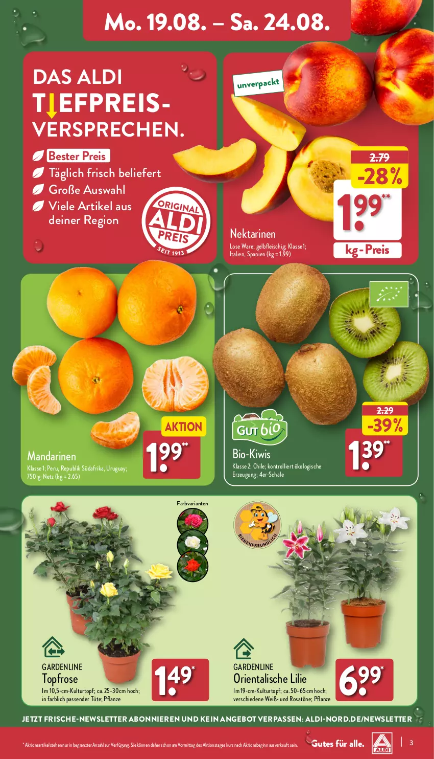 Aktueller Prospekt Aldi Nord - Von Montag - von 19.08 bis 24.08.2024 - strona 3 - produkty: aldi, angebot, bio, eis, fleisch, gin, kiwi, kulturtopf, mandarine, mandarinen, Nektar, nektarinen, pflanze, reis, Ria, Schal, Schale, Ti, topf, trolli, Tüte, ZTE