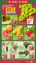 Gazetka promocyjna Aldi Nord - Von Montag - Gazetka - ważna od 24.08 do 24.08.2024 - strona 27 - produkty: aldi, angebot, chrysanthemen, eis, grapefruit, kulturtopf, mais, mango, pflanze, pflanzen, phalaenopsis, radieschen, reis, Ria, Schal, Schale, tafeltrauben, Ti, topf, trauben, ZTE, zucker, zuckermais