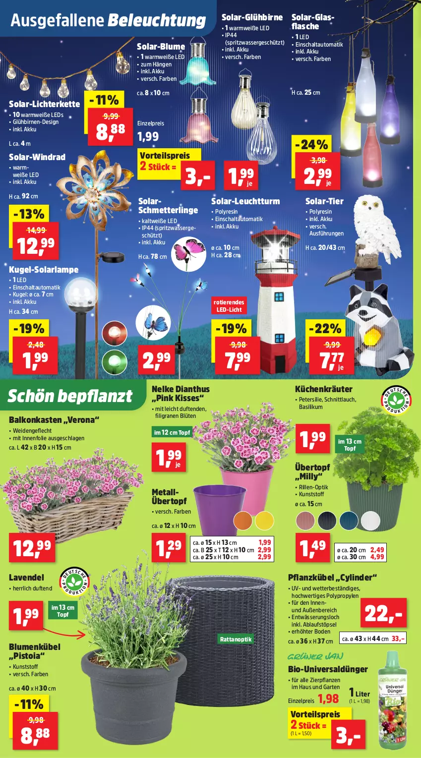 Aktueller Prospekt Thomas Philipps - von 16.06 bis 21.06.2025 - strona 2 - produkty: akku, arla, auto, basilikum, beleuchtung, bio, Birnen, blume, blumen, Blüte, dünger, eis, flasche, Garten, glasflasche, Kette, kräuter, küche, Küchen, Kugel, Lampe, lavendel, led-licht, leds, lichterkette, Mett, petersilie, pflanze, pflanzen, reis, Schal, Schmetterling, schnittlauch, solarlampe, Ti, Tiere, topf, übertopf, vorteilspreis, wasser