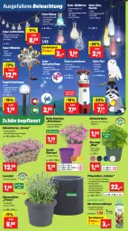 Gazetka promocyjna Thomas Philipps - Gazetka - ważna od 21.06 do 21.06.2025 - strona 2 - produkty: akku, arla, auto, basilikum, beleuchtung, bio, Birnen, blume, blumen, Blüte, dünger, eis, flasche, Garten, glasflasche, Kette, kräuter, küche, Küchen, Kugel, Lampe, lavendel, led-licht, leds, lichterkette, Mett, petersilie, pflanze, pflanzen, reis, Schal, Schmetterling, schnittlauch, solarlampe, Ti, Tiere, topf, übertopf, vorteilspreis, wasser