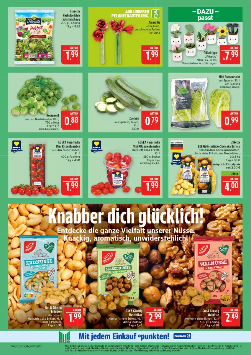 Aktueller Prospekt Marktkauf - Prospekt - von 16.11 bis 22.11.2025 - strona 9 - produkty: Becher, deka, eis, erdnüsse, florette, kartoffel, kartoffeln, payback, pflanze, pflaume, pflaumen, Plüsch, reis, rispentomaten, Romanasalat, salat, schuhe, speisekartoffeln, Sport, Ti, tomate, tomaten, zucchini
