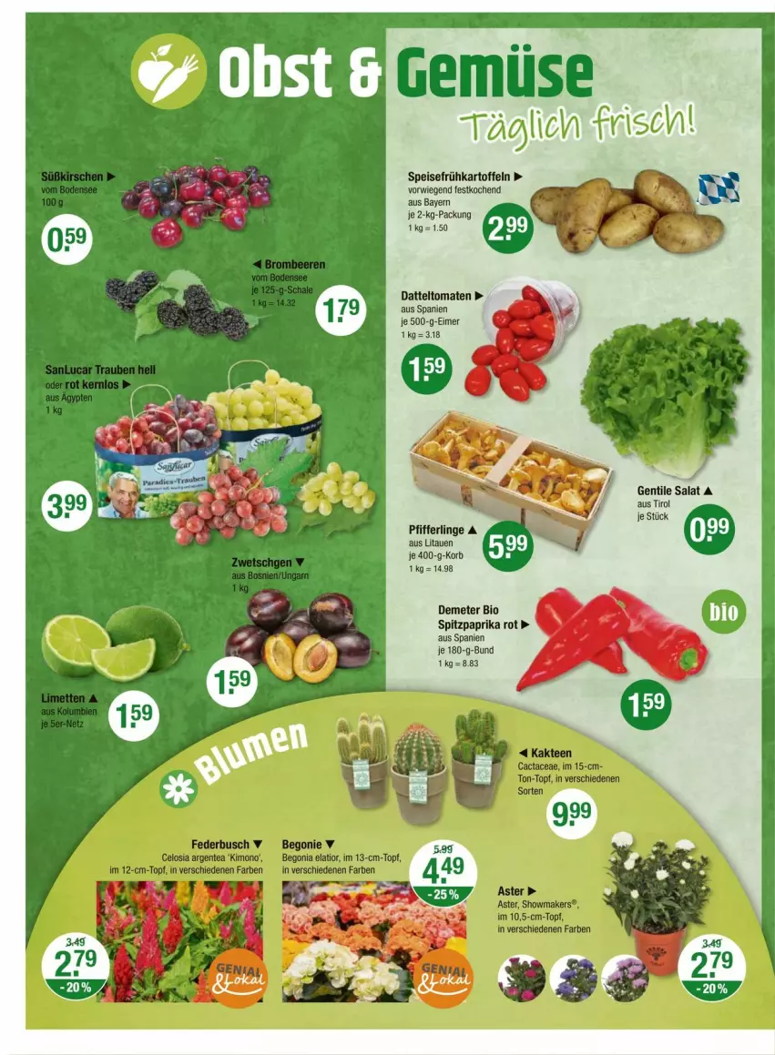 Aktueller Prospekt Vmarkt - Prospekte - von 11.07 bis 17.07.2024 - strona 4 - produkty: bio, datteltomaten, eimer, eis, Frühkartoffeln, kartoffel, kartoffeln, korb, paprika, paprika rot, Pfifferlinge, salat, speisefrühkartoffeln, Spitzpaprika, Ti, tomate, tomaten