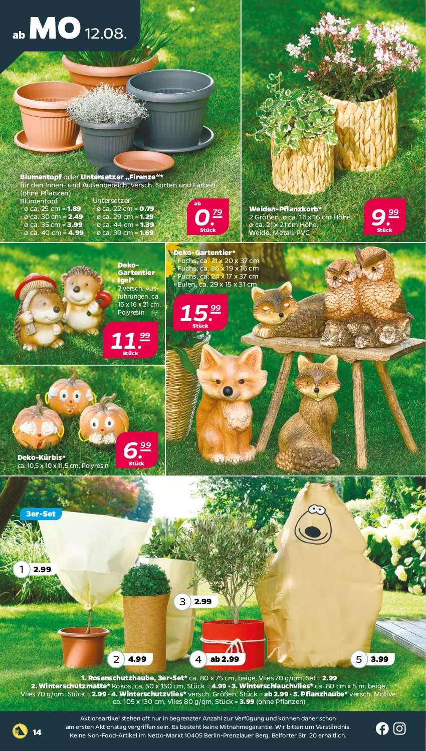 Aktueller Prospekt Netto - Woche 33 - von 12.08 bis 17.08.2024 - strona 14 - produkty: auer, blume, blumen, Garten, kokos, korb, Kürbis, pflanze, pflanzen, rosen, schlauch, Ti, topf, Untersetzer, Winterschutz, ZTE