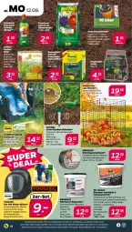 Gazetka promocyjna Netto - Woche 33 - Gazetka - ważna od 17.08 do 17.08.2024 - strona 12 - produkty: auer, Bank, blume, blumen, blumenerde, dünger, elle, erde, flüssigdünger, kokos, Komposter, lack, LG, mehl, Schal, Schütze, spachtel, Ti, Tooltec, wasser, ZTE