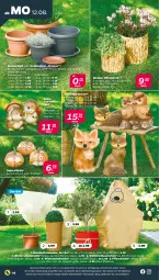 Gazetka promocyjna Netto - Woche 33 - Gazetka - ważna od 17.08 do 17.08.2024 - strona 14 - produkty: auer, blume, blumen, Garten, kokos, korb, Kürbis, pflanze, pflanzen, rosen, schlauch, Ti, topf, Untersetzer, Winterschutz, ZTE