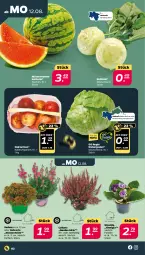 Gazetka promocyjna Netto - Woche 33 - Gazetka - ważna od 17.08 do 17.08.2024 - strona 2 - produkty: eis, eisbergsalat, kohlrabi, melone, Nektar, nektarinen, reis, sac, salat, wasser, wassermelone