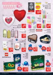 Gazetka promocyjna Marktkauf - Prospekt - Gazetka - ważna od 09.05 do 09.05.2026 - strona 9 - produkty: auer, ball, blume, blumen, deka, eis, gin, gutschein, kerze, mam, pflanze, pflanzen, reis, ring, Schaukel, sonnenblume, sonnenblumen, Springform, Stabkerze, tasse, Ti, Vase