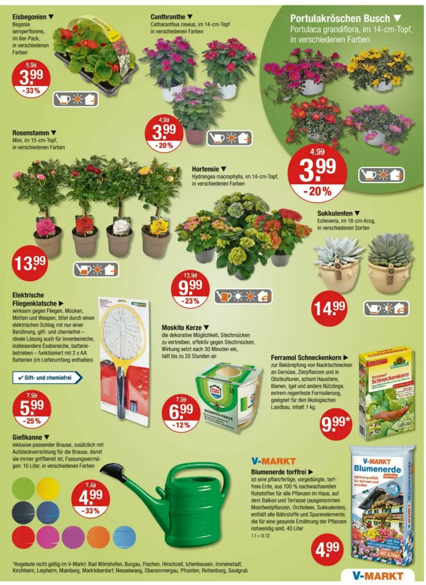 Aktueller Prospekt Vmarkt - Prospekte - von 15.05 bis 21.05.2025 - strona 17 - produkty: angebot, angebote, aust, Bad, batterie, batterien, Bau, beetpflanzen, Begonia, Begonie, blume, blumen, blumenerde, brause, eis, elle, ente, erde, ferramol schneckenkorn, fisch, fische, Fliegenklatsche, Gießkanne, hortensie, hydrangea, hydrangea macrophylla, kerze, korn, LG, Liege, mac, obst, Ofen, orchidee, orchideen, pflanze, pflanzen, Ria, rosen, rum, schneckenkorn, Stier, Sukkulente, Ti, Tiere, topf