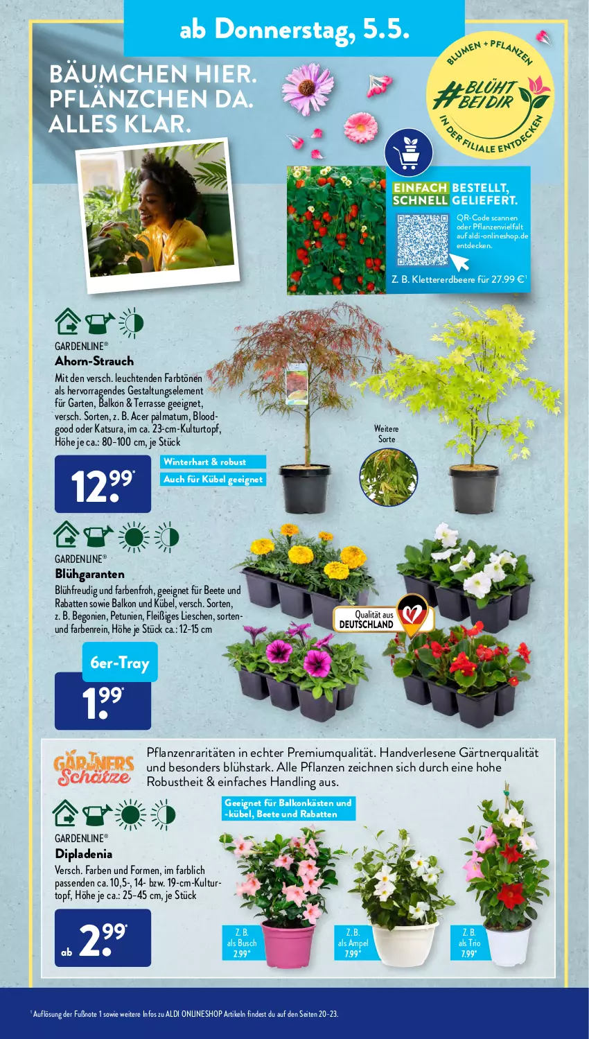 Aktueller Prospekt AldiSud - ALDI Aktuell - von 02.05 bis 05.05.2022 - strona 23 - produkty: acer, aldi, beere, Begonie, decke, dip, dipladenia, erdbeere, gardenline®, Garten, kulturtopf, Leuchte, leuchten, petunie, petunien, pflanze, pflanzen, Rauch, Ti, topf