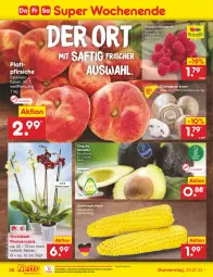 Gazetka promocyjna Netto Marken-Discount - Filial-Angebote - Gazetka - ważna od 22.07 do 22.07.2023 - strona 36 - produkty: asti, avocado, beere, beeren, bestpreis, Blüte, braun, champignon, chiquita, eis, fleisch, himbeer, himbeere, himbeeren, mais, ndk, orchidee, orchideen, pfirsich, pfirsiche, phalaenopsis, plattpfirsiche, reis, saft, Schal, Schale, Ti, topf, zucker, zuckermais