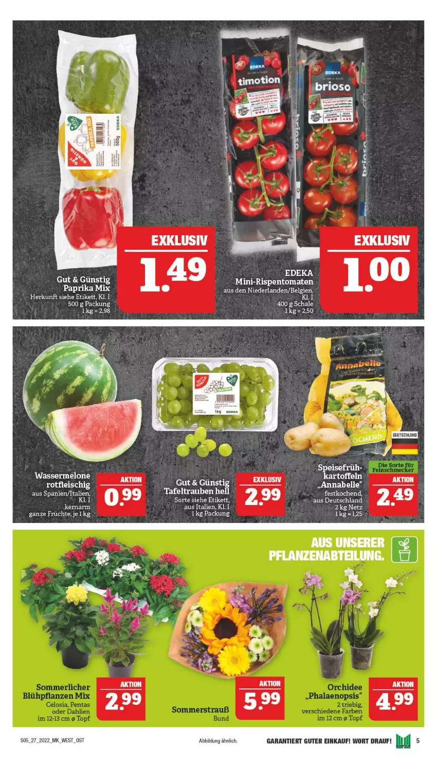 Aktueller Prospekt Marktkauf - Prospekt - von 03.07 bis 09.07.2022 - strona 5 - produkty: eis, fleisch, früchte, LG, paprika, paprika mix, Schal, Schale, Ti