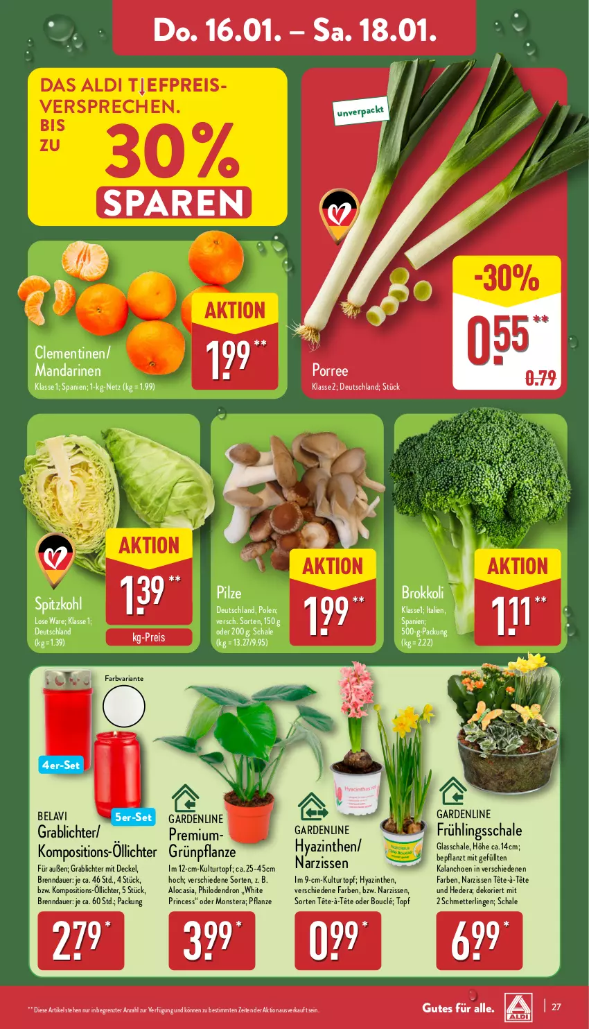 Aktueller Prospekt Aldi Nord - Von Montag - von 13.01 bis 18.01.2025 - strona 27 - produkty: aldi, auer, brokkoli, clementinen, decke, Deckel, eis, Kalanchoe, kulturtopf, mandarine, mandarinen, Mett, monster, Monstera, Narzissen, pflanze, pilze, reis, Ria, Schal, Schale, Schmetterling, spitzkohl, Ti, topf, ZTE