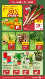 Gazetka promocyjna Aldi Nord - Von Montag - Gazetka - ważna od 18.01 do 18.01.2025 - strona 27 - produkty: aldi, auer, brokkoli, clementinen, decke, Deckel, eis, Kalanchoe, kulturtopf, mandarine, mandarinen, Mett, monster, Monstera, Narzissen, pflanze, pilze, reis, Ria, Schal, Schale, Schmetterling, spitzkohl, Ti, topf, ZTE