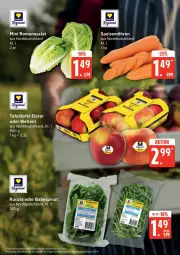 Gazetka promocyjna Edeka - Prospekte - Gazetka - ważna od 27.06 do 27.06.2026 - strona 9 - produkty: Babyspinat, cola, deka, eis, möhren, reis, Romanasalat, rucola, salat, speisemöhren, spinat, tafeläpfel, torte, Wella, ZTE