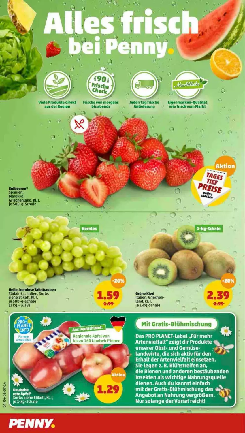 Aktueller Prospekt Penny - Prospekte - von 04.04 bis 09.04.2022 - strona 4 - produkty: angebot, apfel, beere, beeren, elle, erdbeere, erdbeeren, kiwi, obst, reifen, Schal, Schale, sekt, tafeltrauben, Ti, trauben, und gemüse