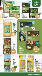 Gazetka promocyjna Penny - Prospekte - Gazetka - ważna od 09.04 do 09.04.2022 - strona 41 - produkty: beutel, bio, bio gemüse, blume, blumen, gin, lack, natur, tee, Ti