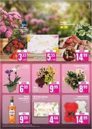 Gazetka promocyjna Edeka - Prospekte - Gazetka - ważna od 11.05 do 11.05.2024 - strona 5 - produkty: beere, beeren, deka, eis, erdbeere, erdbeeren, reis, Ti, ZTE