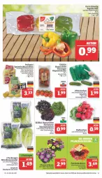 Gazetka promocyjna Marktkauf - Prospekt - Gazetka - ważna od 15.07 do 15.07.2023 - strona 11 - produkty: aktionspreis, auer, bio, deka, Eichblattsalat, eis, Frühkartoffeln, gurke, gurken, kartoffel, kartoffeln, mini-gurken, nuss, paprika, paprika mix, radieschen, reis, ring, rispentomaten, Romanasalat, sac, salat, Schal, Schale, speisefrühkartoffeln, Spezi, Ti, tomate, tomaten