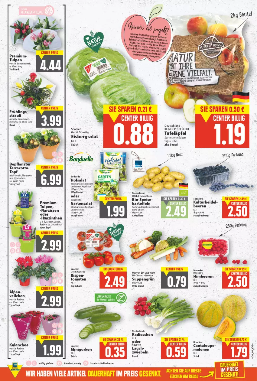 Aktueller Prospekt E Center - Angebote der Woche - von 24.01 bis 29.01.2022 - strona 8 - produkty: beere, beeren, beutel, bio, bonduelle, deka, eis, eisbergsalat, elle, Garten, gurke, gurken, himbeer, himbeere, himbeeren, kartoffel, kartoffeln, kopfsalat, melone, melonen, Narzissen, obst, petersilie, Primeln, radieschen, reis, salat, Schal, Schale, suppe, suppen, tafeläpfel, Ti, tomate, tomaten, topf, und gemüse, ZTE, zwiebel, zwiebeln