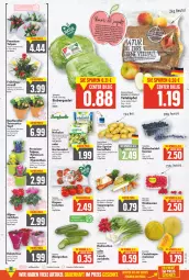 Gazetka promocyjna E Center - Angebote der Woche - Gazetka - ważna od 29.01 do 29.01.2022 - strona 8 - produkty: beere, beeren, beutel, bio, bonduelle, deka, eis, eisbergsalat, elle, Garten, gurke, gurken, himbeer, himbeere, himbeeren, kartoffel, kartoffeln, kopfsalat, melone, melonen, Narzissen, obst, petersilie, Primeln, radieschen, reis, salat, Schal, Schale, suppe, suppen, tafeläpfel, Ti, tomate, tomaten, topf, und gemüse, ZTE, zwiebel, zwiebeln