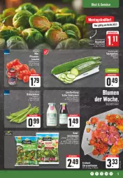 Gazetka promocyjna Edeka - Angebote der Woche - Gazetka - ważna od 23.09 do 23.09.2023 - strona 5 - produkty: aktionspreis, angebot, Becher, beutel, blume, blumen, discount, eis, gurke, gurken, LG, obst, pflaume, pflaumen, reis, salat, Salatgurke, salatgurken, salatsauce, sauce, Sylter, Ti, tomate, tomaten