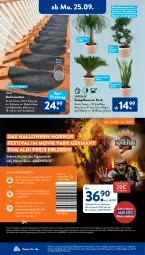 Gazetka promocyjna AldiSud - NÄCHSTE WOCHE - Gazetka - ważna od 30.09 do 30.09.2023 - strona 18 - produkty: aldi, alle artikel ohne dekoration, angebot, dekoration, eis, elle, erde, Ficus, Germ, gin, Grünpflanzen, gutschein, Kinder, korb, kulturtopf, pflanze, pflanzen, reifen, reis, Ria, Stufenmatten, Ti, topf, ZTE