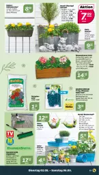 Gazetka promocyjna Netto - Woche 18 - Gazetka - ważna od 06.05 do 06.05.2023 - strona 17 - produkty: aqua, blume, blumen, braun, erde, Frosch, geranie, geranien, Geranienerde, Holz, LG, Liege, pflanze, pflanzen, Schal, Schale, Ti, topf, übertopf