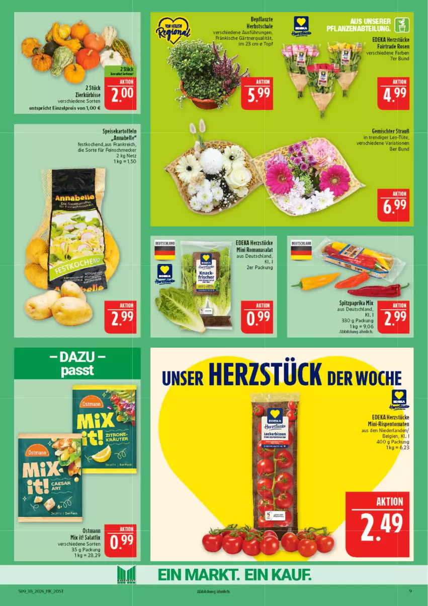 Aktueller Prospekt Marktkauf - Prospekt - von 13.09 bis 19.09.2026 - strona 9 - produkty: deka, eis, elle, feinschmecker, kartoffel, kartoffeln, Kürbis, LG, mini-rispentomaten, paprika, paprika mix, reis, Ria, rispentomaten, Romanasalat, rosen, salat, Schal, Schale, speisekartoffeln, Spitzpaprika, Ti, tomate, tomaten, Tüte, ZTE