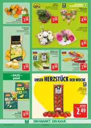 Gazetka promocyjna Marktkauf - Prospekt - Gazetka - ważna od 19.09 do 19.09.2026 - strona 9 - produkty: deka, eis, elle, feinschmecker, kartoffel, kartoffeln, Kürbis, LG, mini-rispentomaten, paprika, paprika mix, reis, Ria, rispentomaten, Romanasalat, rosen, salat, Schal, Schale, speisekartoffeln, Spitzpaprika, Ti, tomate, tomaten, Tüte, ZTE