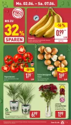Gazetka promocyjna Aldi Nord - Von Montag - Gazetka - ważna od 07.06 do 07.06.2025 - strona 9 - produkty: banane, bananen, braun, champignon, champignons, chrysanthemen, eis, gin, kulturtopf, pflanze, reis, Ria, rispentomaten, Schal, Schale, Ti, tomate, tomaten, topf, Vase, ZTE
