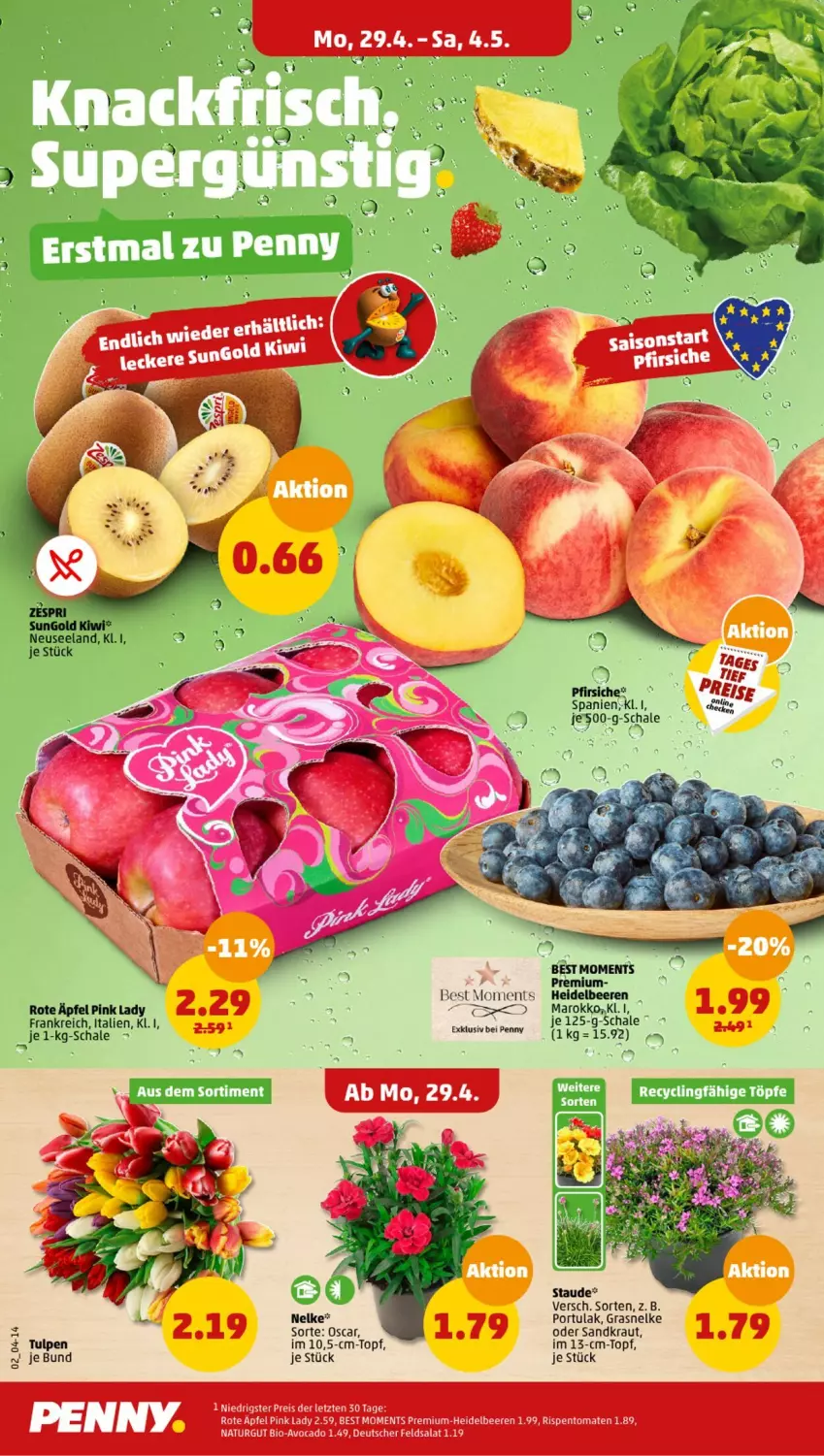 Aktueller Prospekt Penny - Prospekte - von 29.04 bis 04.05.2024 - strona 2 - produkty: apfel, avocado, beere, beeren, bio, eis, Elan, feldsalat, heidelbeere, heidelbeeren, kiwi, Kraut, natur, ndk, pfirsich, pfirsiche, Pink Lady, reis, rispentomaten, salat, Schal, Schale, tomate, tomaten, topf, zespri, ZTE