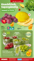 Gazetka promocyjna Penny - Prospekte - Gazetka - ważna od 24.08 do 24.08.2024 - strona 2 - produkty: bio, eis, fenster, honig, honigmelone, melone, natur, pflaume, pflaumen, reis, salat, salatherzen, Schal, Schale, Ti, ZTE, zucchini