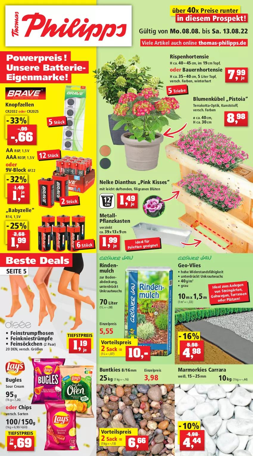 Aktueller Prospekt Thomas Philipps - Prospektwerbung - von 08.08 bis 13.08.2022 - strona 1 - produkty: auer, batterie, Bau, Bauer, blume, blumen, Blüte, bugles, chips, eis, elle, hortensie, hose, hosen, Kraut, Palette, Pflanzkasten, reis, rind, rindenmulch, rum, sac, söckchen, sour cream, strümpfe, Strumpfhose, Ti, topf, vorteilspreis