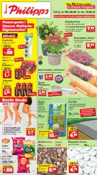 Gazetka promocyjna Thomas Philipps - Prospektwerbung - Gazetka - ważna od 13.08 do 13.08.2022 - strona 1 - produkty: auer, batterie, Bau, Bauer, blume, blumen, Blüte, bugles, chips, eis, elle, hortensie, hose, hosen, Kraut, Palette, Pflanzkasten, reis, rind, rindenmulch, rum, sac, söckchen, sour cream, strümpfe, Strumpfhose, Ti, topf, vorteilspreis