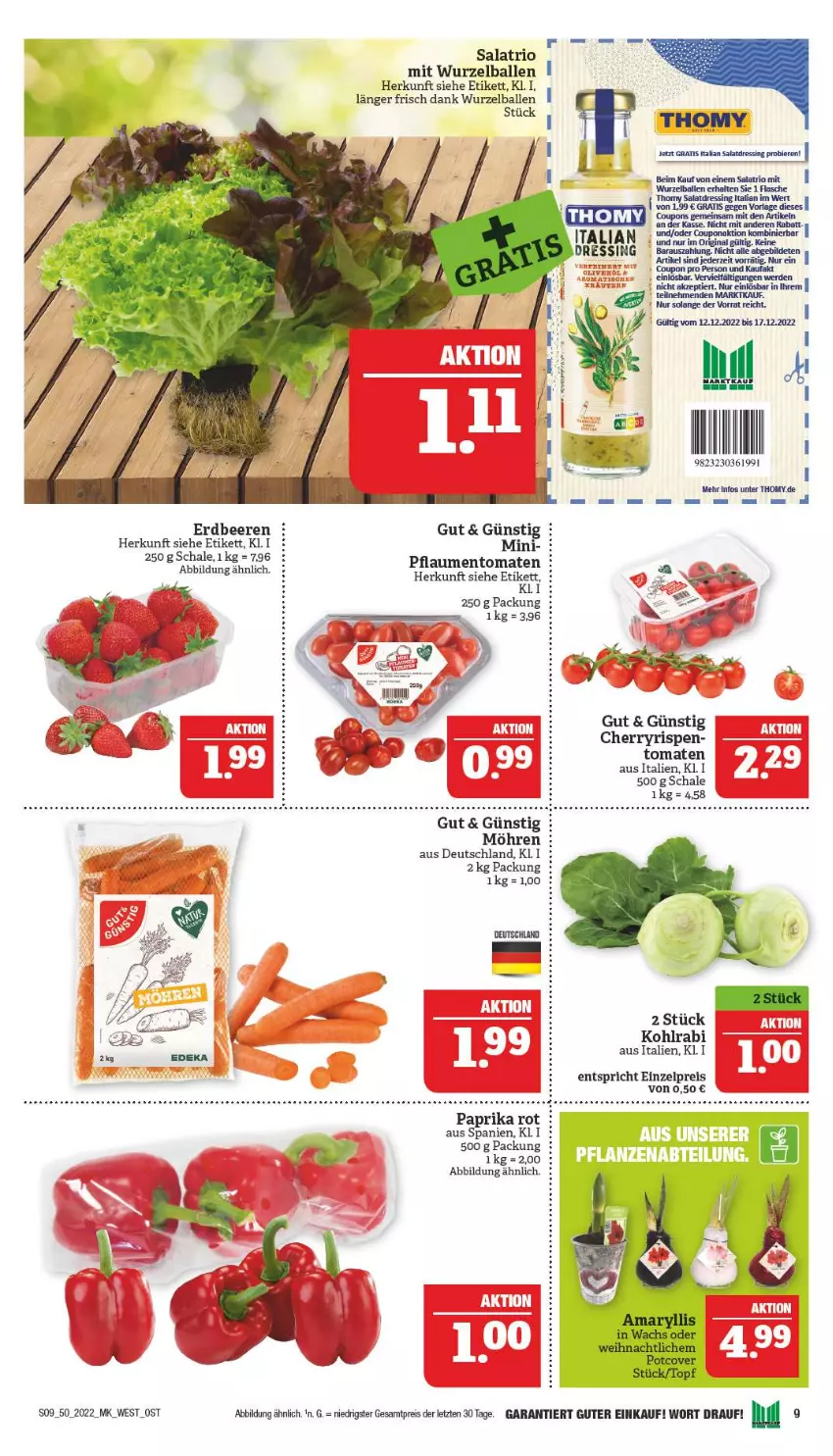 Aktueller Prospekt Marktkauf - Prospekt - von 11.12 bis 17.12.2022 - strona 9 - produkty: ball, beere, beeren, dressing, eis, erdbeere, erdbeeren, erde, kohlrabi, möhren, paprika, paprika rot, pflaume, pflaumen, reis, salat, salatdressing, Schal, Schale, thomy, Ti, tomate, tomaten, ZTE