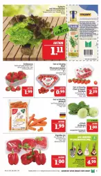 Gazetka promocyjna Marktkauf - Prospekt - Gazetka - ważna od 17.12 do 17.12.2022 - strona 9 - produkty: ball, beere, beeren, dressing, eis, erdbeere, erdbeeren, erde, kohlrabi, möhren, paprika, paprika rot, pflaume, pflaumen, reis, salat, salatdressing, Schal, Schale, thomy, Ti, tomate, tomaten, ZTE