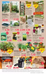 Gazetka promocyjna Jawoll - Prospekte - Gazetka - ważna od 14.01 do 14.01.2023 - strona 7 - produkty: angebot, angebote, anzünder, Aschesauger, auer, Bau, Berger, blume, blumen, blumenerde, dell, eis, elle, erde, feuerschale, Germ, Gewächshaus, Grünpflanzen, Holz, HP, Kamin, Kaminholz, korb, Mode, pflanze, pflanzen, Primeln, reis, sac, Schal, Schale, schlauch, spargel, Spezi, Spiele, Ti, topf, tragegriff, wolle