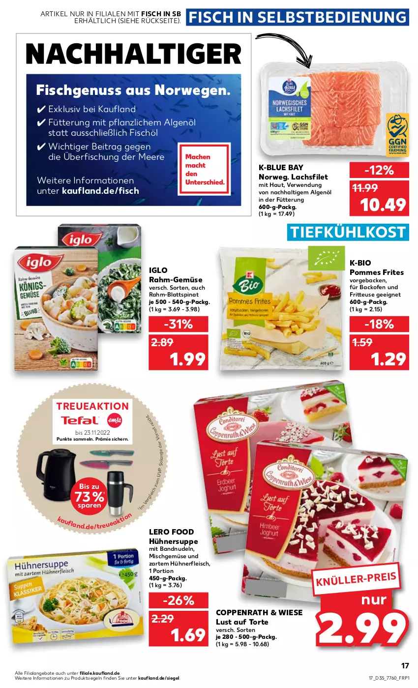 Aktueller Prospekt Kaufland - von 01.09 bis 07.09.2022 - strona 17 - produkty: angebot, angebote, backofen, backofen und, bio, blattspinat, coppenrath, eis, filet, fisch, fleisch, fritteuse, geback, hühner, Hühnersuppe, iglo, lachs, lachsfilet, LG, Lust auf Torte, nerf, nudel, nudeln, nuss, Ofen, pommes, Pommes Frites, rahm-gemüse, rwe, spinat, suppe, Ti, tiefkühlkost, torte