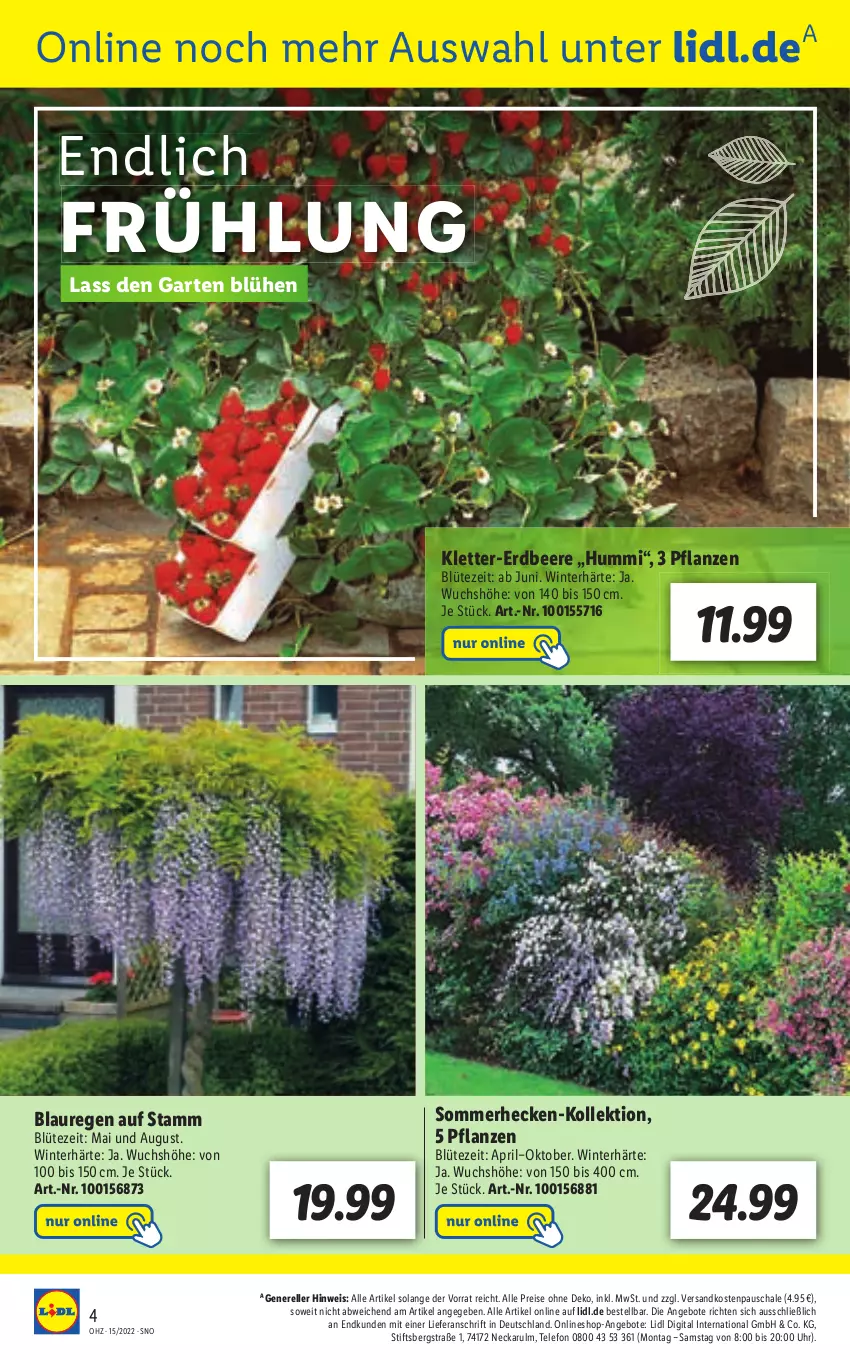 Aktueller Prospekt Lidl - Aktionsprospekt - von 11.04 bis 16.04.2022 - strona 54 - produkty: angebot, angebote, beere, Blüte, eis, elle, erdbeere, Garten, ndk, pril, reis, rel, Schal, Schale, telefon, Ti, uhr