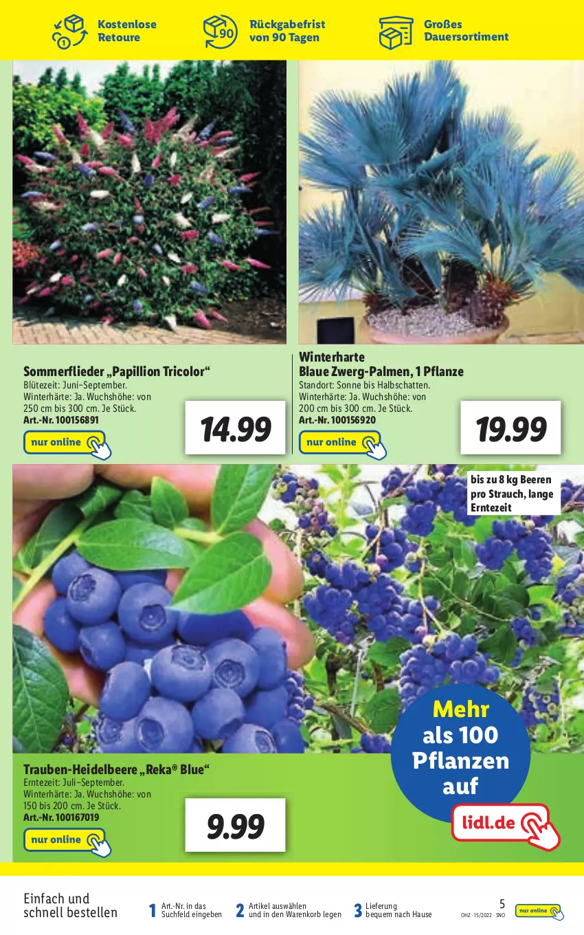 Aktueller Prospekt Lidl - Aktionsprospekt - von 11.04 bis 16.04.2022 - strona 55 - produkty: auer, beere, beeren, Blüte, elle, heidelbeere, korb, lion, Rauch, Ti, trauben