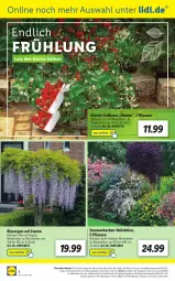 Gazetka promocyjna Lidl - Aktionsprospekt - Gazetka - ważna od 16.04 do 16.04.2022 - strona 54 - produkty: angebot, angebote, beere, Blüte, eis, elle, erdbeere, Garten, ndk, pril, reis, rel, Schal, Schale, telefon, Ti, uhr