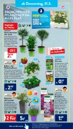 Gazetka promocyjna AldiSud - ALDI Aktuell - Gazetka - ważna od 02.04 do 02.04.2022 - strona 26 - produkty: aldi, auto, Bau, beetpflanzen, blume, blumen, Blüte, decke, eis, elle, Engel, frucht, früchte, gardenline®, Garten, Gartenkresse, gewürz, gurke, gurken, kräuter, küche, kulturtopf, lavendel, LG, orchidee, orchideen, pflanze, pflanzen, reis, rhabarber, ring, rosen, rosmarin, salat, Salatgurke, salatgurken, tee, teller, Ti, tisch, topf