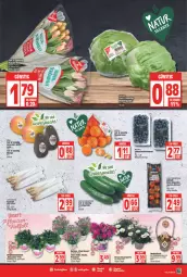 Gazetka promocyjna Edeka - Angebote der Woche - Gazetka - ważna od 02.04 do 02.04.2022 - strona 9 - produkty: avocado, blume, blumen, deka, eis, gurke, gurken, henkel, korb, mandarine, mandarinen, mango, Rauch, rel, salat, Salatgurke, salatgurken, Schal, Schale, spargel, Ti, topf, Yo