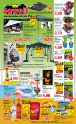 Gazetka promocyjna Jawoll - Prospekte - Gazetka - ważna od 27.05 do 27.05.2023 - strona 1 - produkty: angebot, angebote, arla, auer, Behälter, bio, calibrachoa, Clogs, decksohle, dekoration, edelstahl, eis, erde, flasche, Garten, Gartenfackel, gin, hakle, hakle toilettenpapier, hängesessel, Insektennetz, Jubiläums, Kærgården, kissen, Kraut, lamm, Lampe, leds, lindor, lindt, martini, milch, nuggets, papier, pavillon, petunie, petunien, pflanze, pflanzerde, pralinen, Rauch, rind, rindenmulch, sac, salz, schirmständer, sekt, sessel, sitzkissen, solarlampe, sonderposten, sonnenschirm, sonnensegel, Ti, toilettenpapier, tomate, tomaten, topf, zauberglöckchen