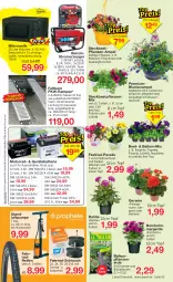 Gazetka promocyjna Jawoll - Prospekte - Gazetka - ważna od 27.05 do 27.05.2023 - strona 5 - produkty: auer, auto, balkonpflanzen, batterie, beetpflanzen, Begonia, beleuchtung, blume, blumen, Blumenampel, Brei, dahlie, dunlop, eis, elle, erde, Fahrrad, geranie, geranien, HP, kraft, Kraut, mikrowelle, Pelargonium, petunie, petunien, pflanze, pflanzen, rasen, rasenmäher, reifen, sac, Schal, schlauch, Stromerzeuger, Ti, tisch, topf, uhr, wasser, zauberglöckchen