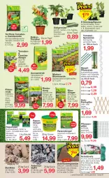 Gazetka promocyjna Jawoll - Prospekte - Gazetka - ważna od 27.05 do 27.05.2023 - strona 7 - produkty: ball, berliner, beutel, blume, blumen, blumenerde, blumenkohl, braun, dünger, eimer, erde, frucht, Garten, Gemüsedünger, Gemüseerde, gurke, gurken, Holz, kohlrabi, kopfsalat, Kraut, kräuter, Mantel, natur, paprika, peperoni, Peroni, pflanze, pflanzen, rasen, rasendünger, rind, rinder, sac, salat, Schutznetz, Spezi, Sport, Ti, tomate, tomaten, topf, zucchini