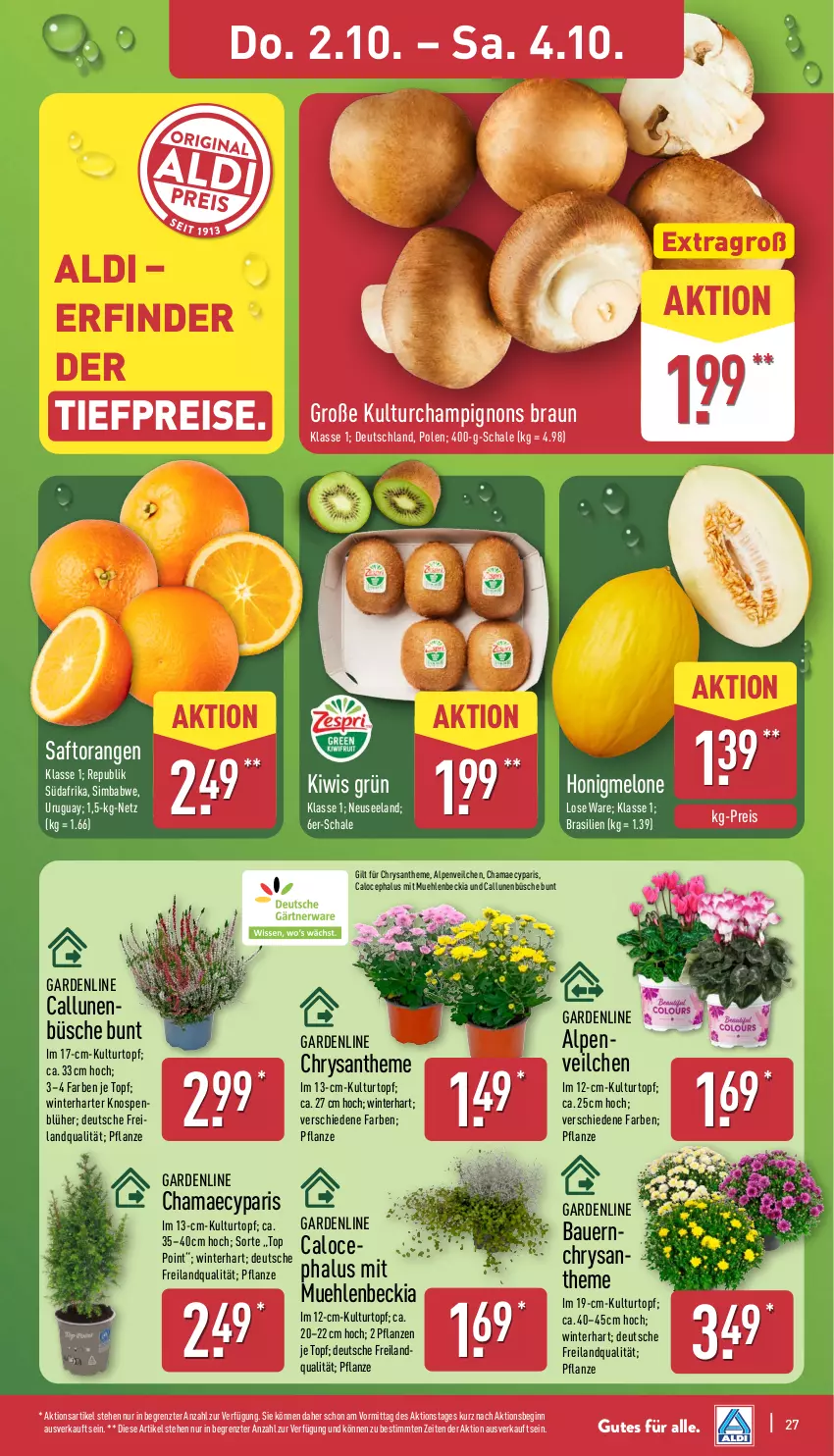 Aktueller Prospekt Aldi Nord - Von Montag - von 29.09 bis 04.10.2025 - strona 27 - produkty: aldi, auer, Bau, Bauer, Blüte, braun, Brei, champignon, champignons, champignons braun, eis, Elan, gin, hama, honig, honigmelone, kiwi, kulturtopf, melone, orange, orangen, pflanze, pflanzen, reis, saft, Saftorangen, Schal, Schale, sim, simba, Ti, tiefpreis, topf, ZTE