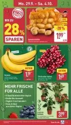Gazetka promocyjna Aldi Nord - Von Montag - Gazetka - ważna od 04.10 do 04.10.2025 - strona 3 - produkty: banane, bananen, bio, Blüte, Brei, eis, gin, kartoffel, kartoffeln, kulturtopf, pflanze, reis, Schal, Schale, speisekartoffeln, tafeltrauben, Ti, topf, trauben, ZTE