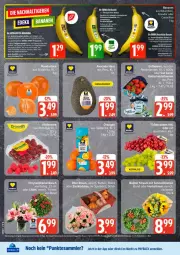 Gazetka promocyjna Edeka - Prospekte - Gazetka - ważna od 03.10 do 03.10.2026 - strona 7 - produkty: banane, bananen, Bau, bio, deka, dell, edeka bio, eis, elle, Kranz, nuss, payback, reis, rosen, tee, tesa, Ti, ZTE